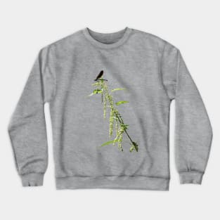 Black Dragonfly On Nettle Crewneck Sweatshirt